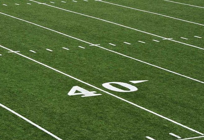 Alabama Football: Top Defensive Ends in 2029